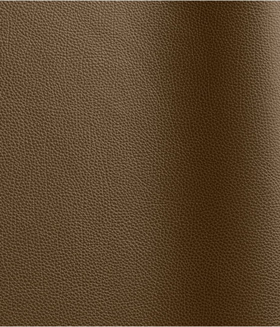 CUIR TANGO