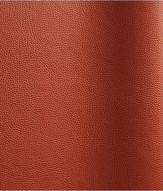 CUIR TANGO