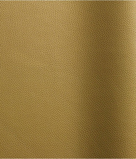 CUIR TANGO