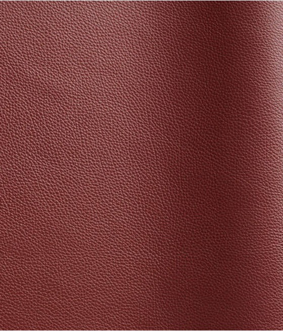 CUIR TANGO