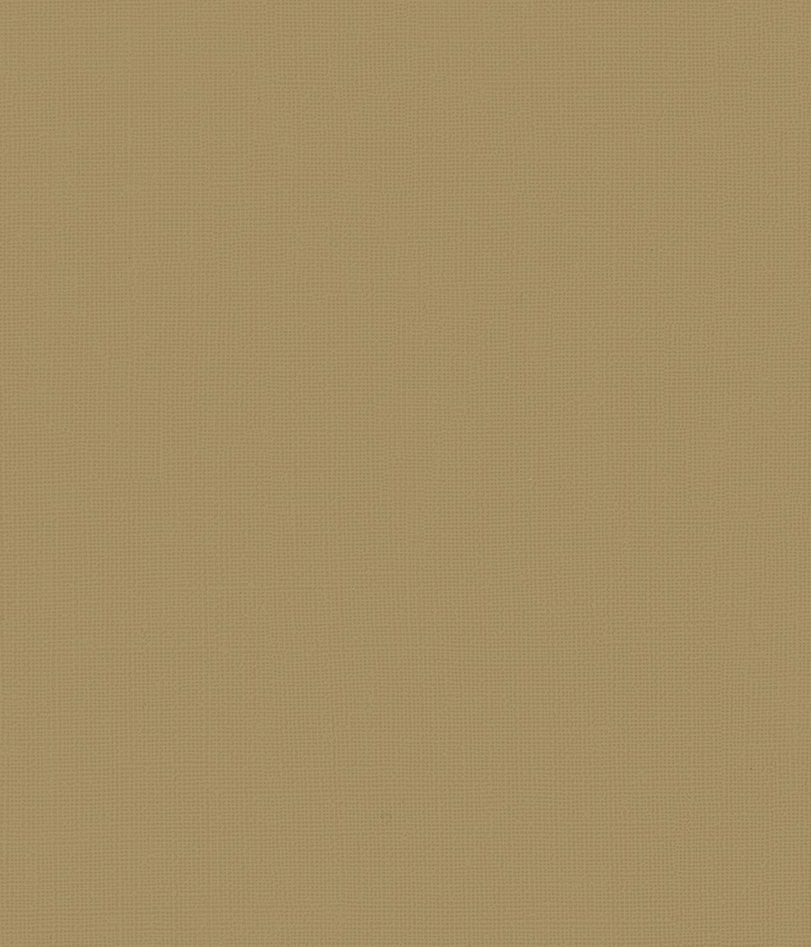 KALYTERA  GRIFFINE SIMILI M1 Laize 138-140 cm special medical