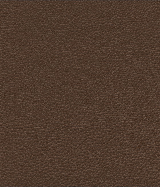 GINGKO GRIFFINE SIMILI NON FEU M1 Laize 140 cm