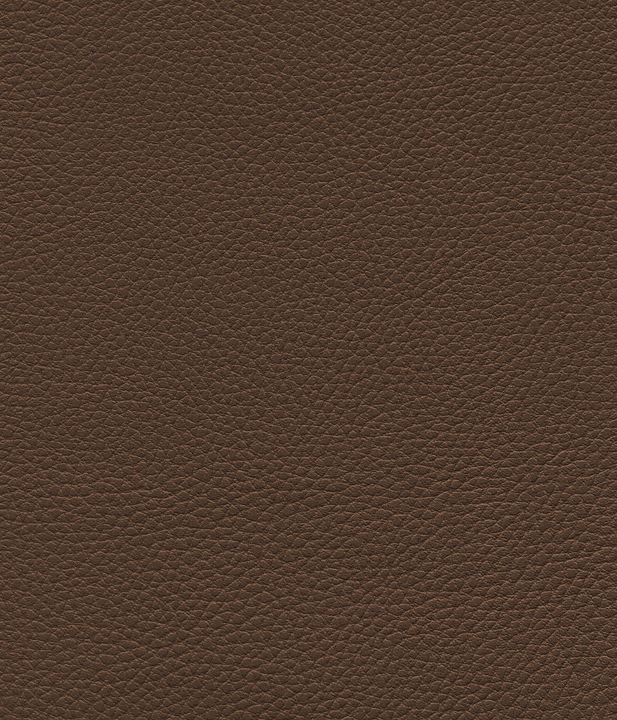 GINGKO GRIFFINE SIMILI NON FEU M1 Laize 140 cm