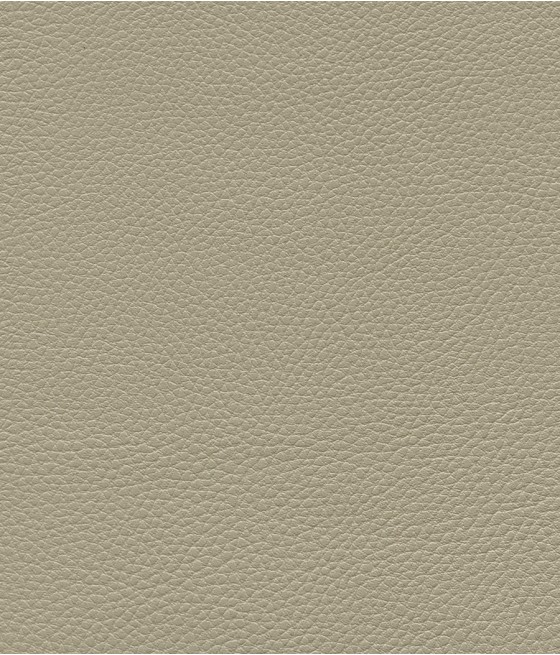 GINGKO GRIFFINE SIMILI NON FEU M1 Laize 140 cm