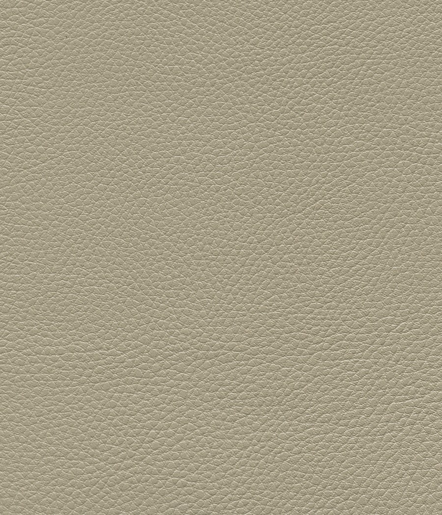 GINGKO GRIFFINE SIMILI NON FEU M1 Laize 140 cm