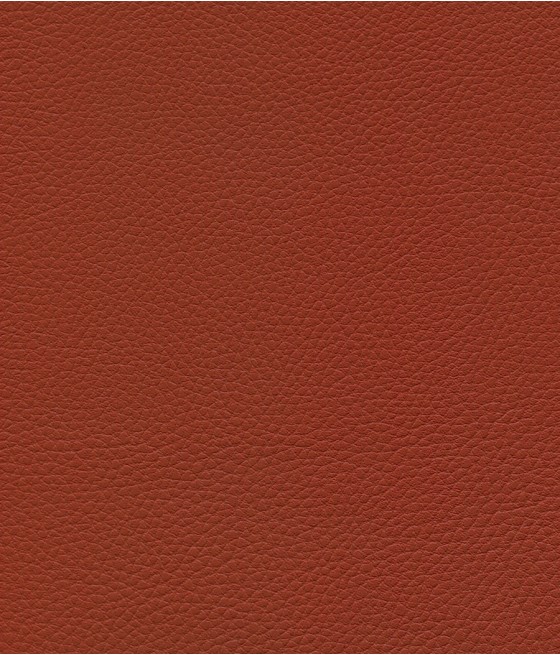 GINGKO GRIFFINE SIMILI NON FEU M1 Laize 140 cm