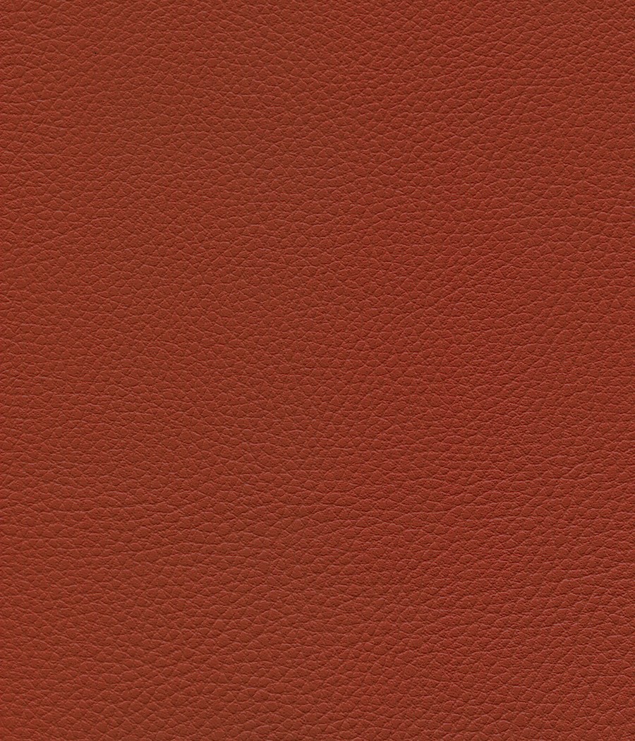 GINGKO GRIFFINE SIMILI NON FEU M1 Laize 140 cm