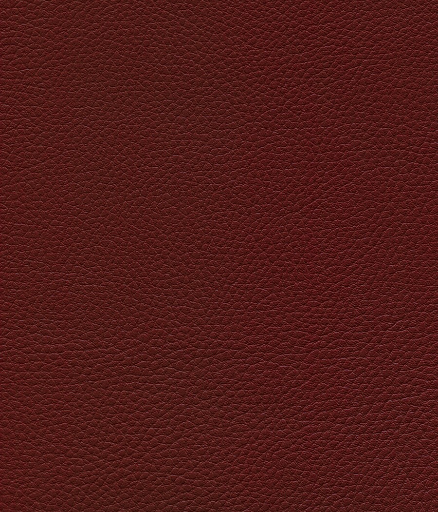 GINGKO GRIFFINE SIMILI NON FEU M1 Laize 140 cm