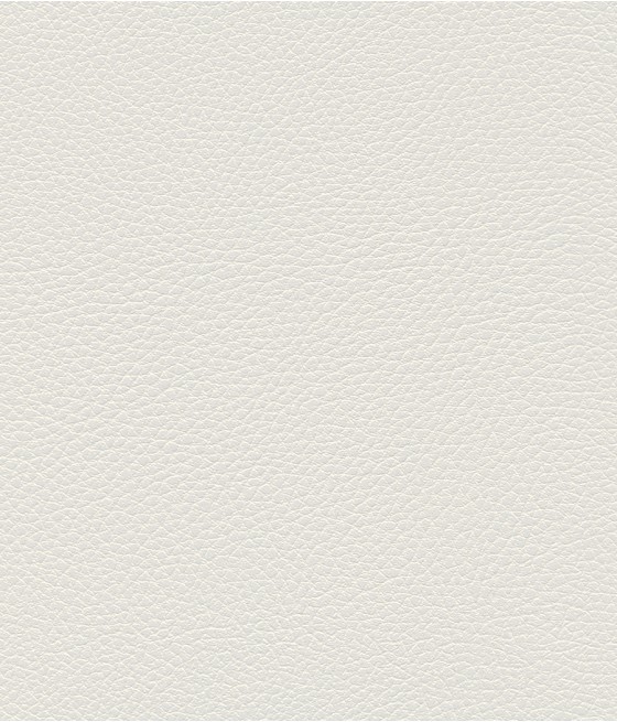 GINGKO GRIFFINE SIMILI NON FEU M1 Laize 140 cm