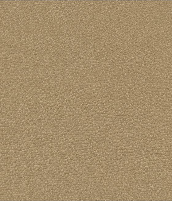 GINGKO GRIFFINE SIMILI NON FEU M1 Laize 140 cm