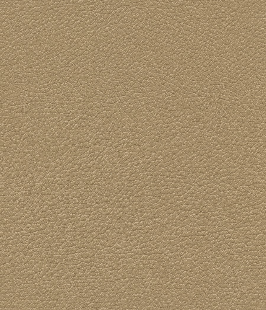 GINGKO GRIFFINE SIMILI NON FEU M1 Laize 140 cm