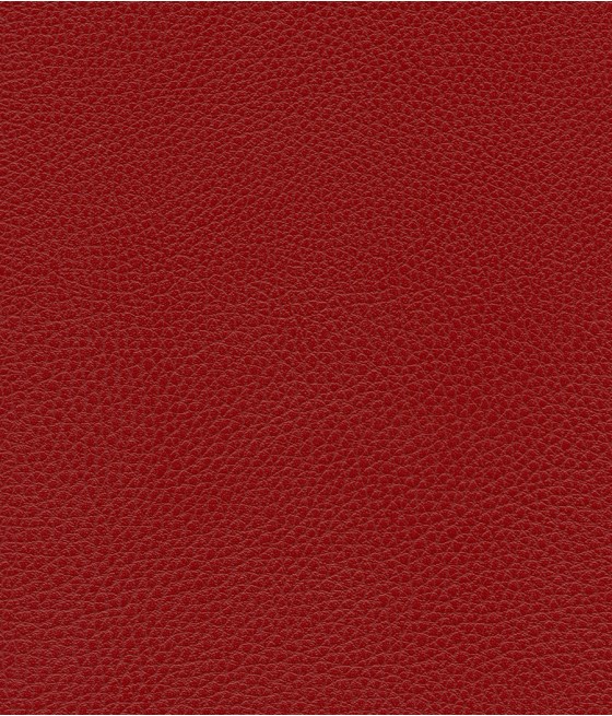 GINGKO GRIFFINE SIMILI NON FEU M1 Laize 140 cm