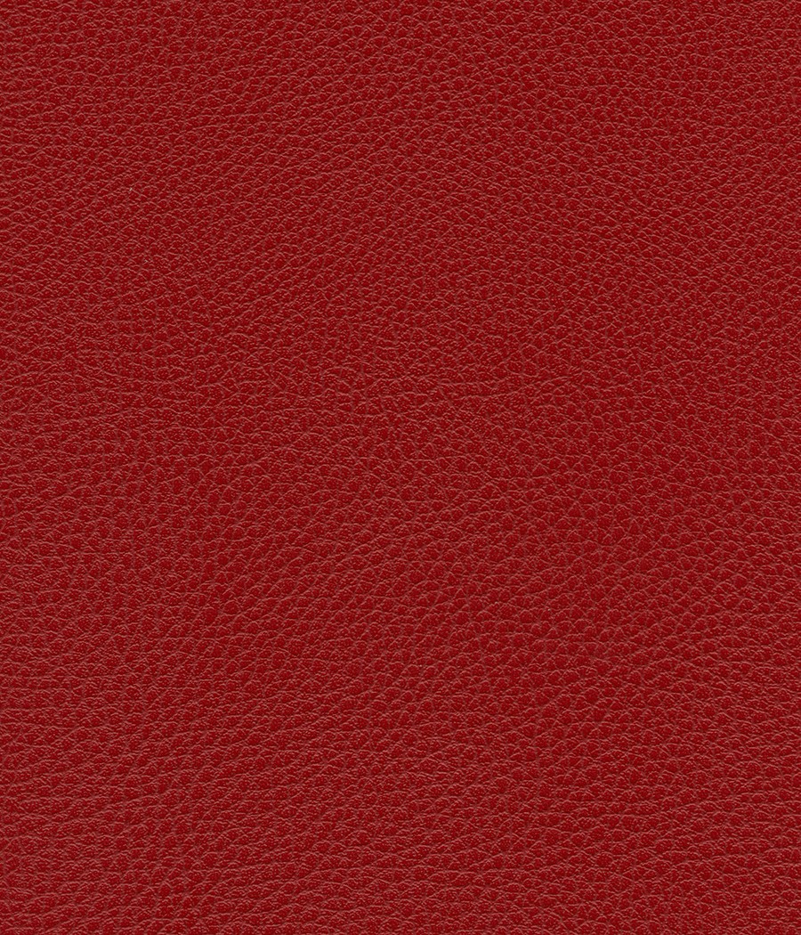 GINGKO GRIFFINE SIMILI NON FEU M1 Laize 140 cm