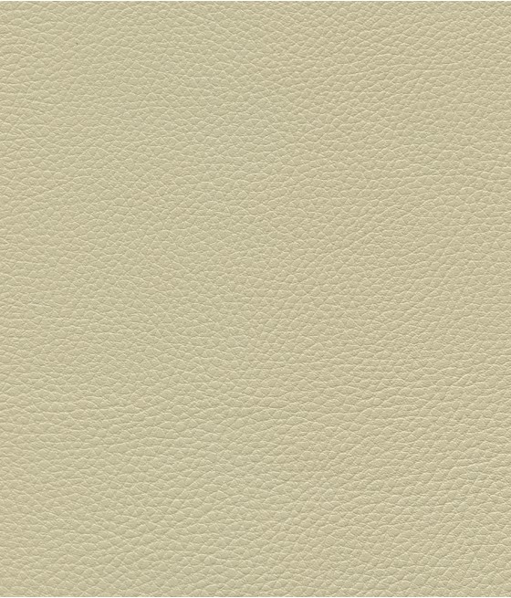 GINGKO GRIFFINE SIMILI NON FEU M1 Laize 140 cm