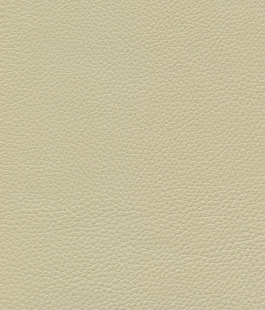 GINGKO GRIFFINE SIMILI NON FEU M1 Laize 140 cm