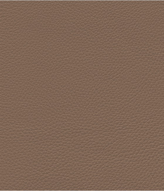 GINGKO GRIFFINE SIMILI NON FEU M1 Laize 140 cm