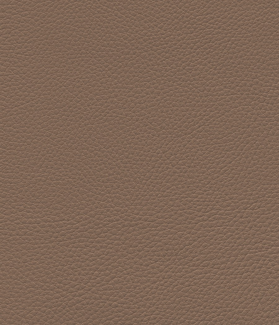 GINGKO GRIFFINE SIMILI NON FEU M1 Laize 140 cm