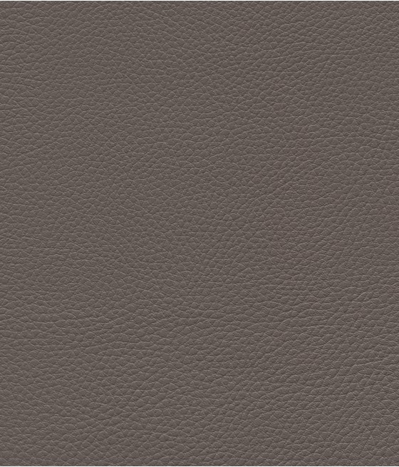 GINGKO GRIFFINE SIMILI NON FEU M1 Laize 140 cm