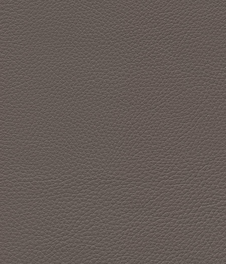 GINGKO GRIFFINE SIMILI NON FEU M1 Laize 140 cm