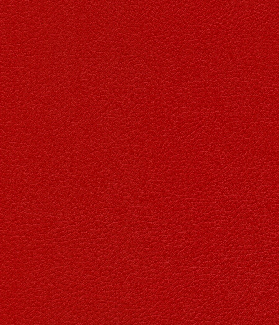 GINGKO GRIFFINE SIMILI NON FEU M1 Laize 140 cm