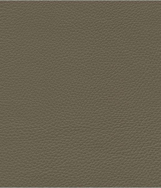 GINGKO GRIFFINE SIMILI NON FEU M1 Laize 140 cm