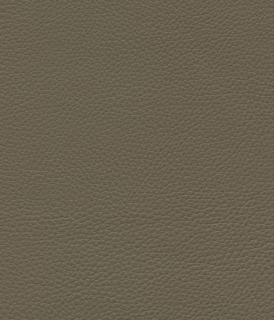 GINGKO GRIFFINE SIMILI NON FEU M1 Laize 140 cm