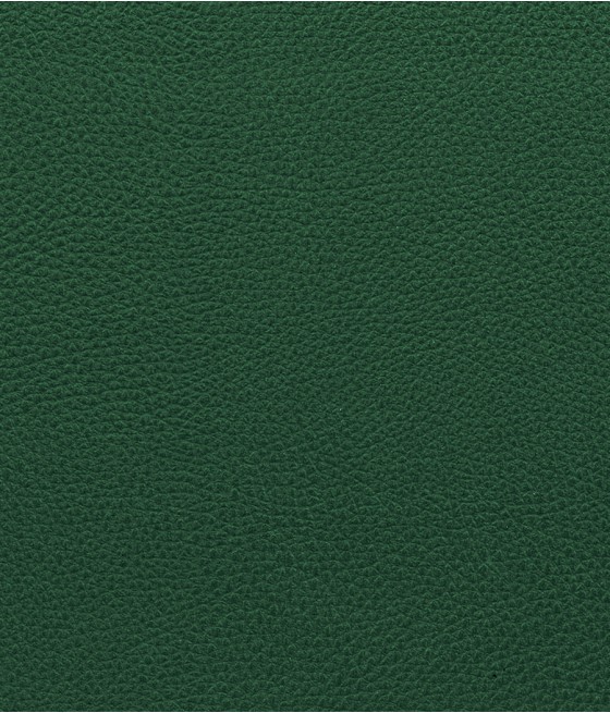 GINGKO GRIFFINE SIMILI NON FEU M1 Laize 140 cm