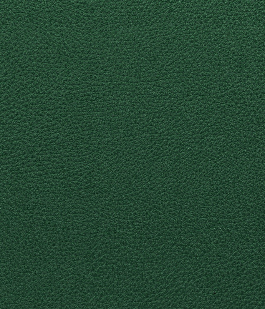 GINGKO GRIFFINE SIMILI NON FEU M1 Laize 140 cm