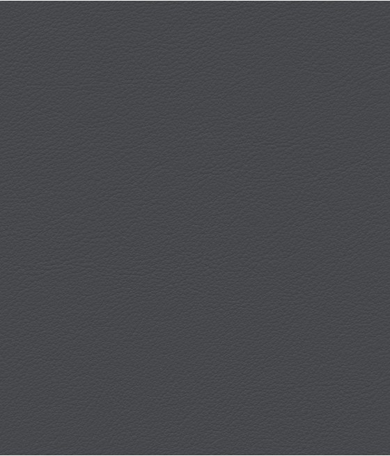 ESPRIT GRIFFINE SIMILI NON FEU M2 Laize 138-140 cm