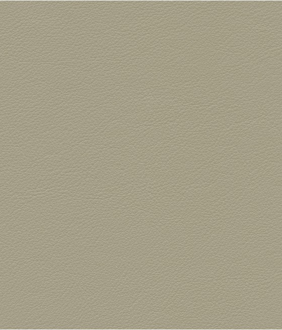 ESPRIT GRIFFINE SIMILI NON FEU M2 Laize 138-140 cm