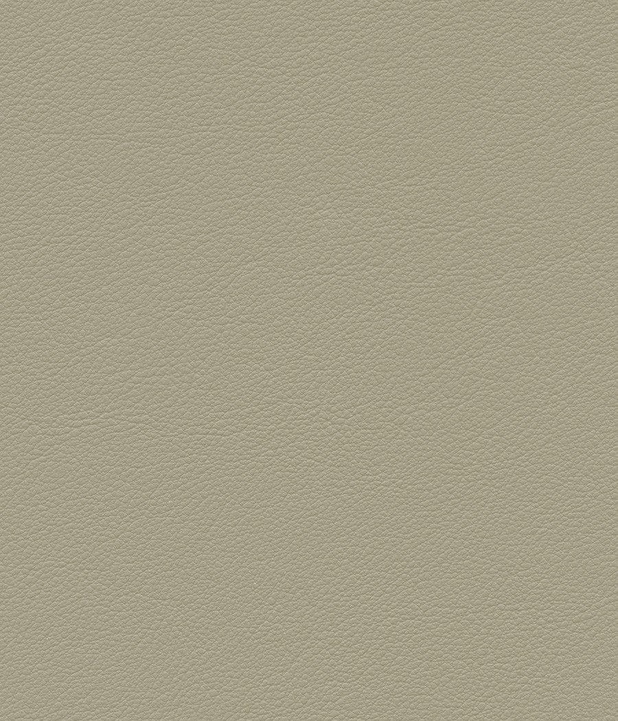 ESPRIT GRIFFINE SIMILI NON FEU M2 Laize 138-140 cm