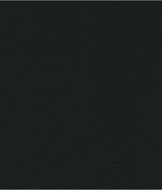 ESPRIT GRIFFINE SIMILI NON FEU M2 Laize 138-140 cm