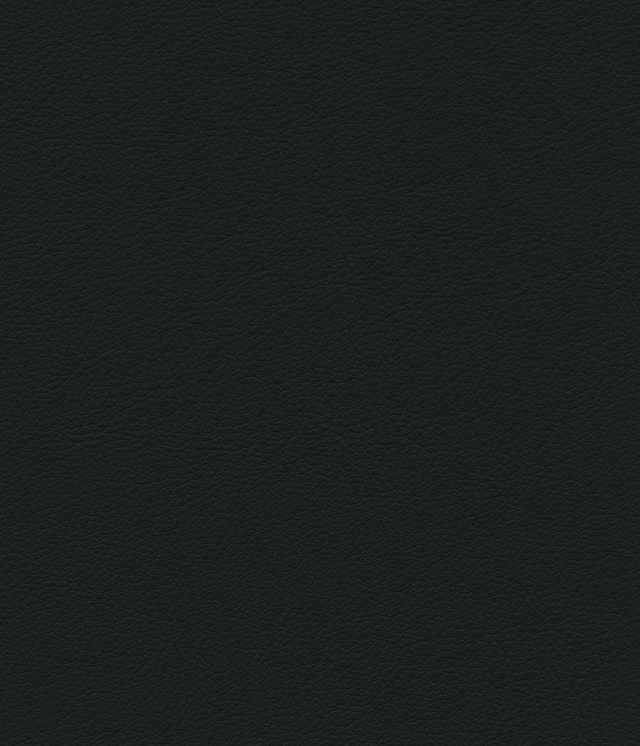 ESPRIT GRIFFINE SIMILI NON FEU M2 Laize 138-140 cm