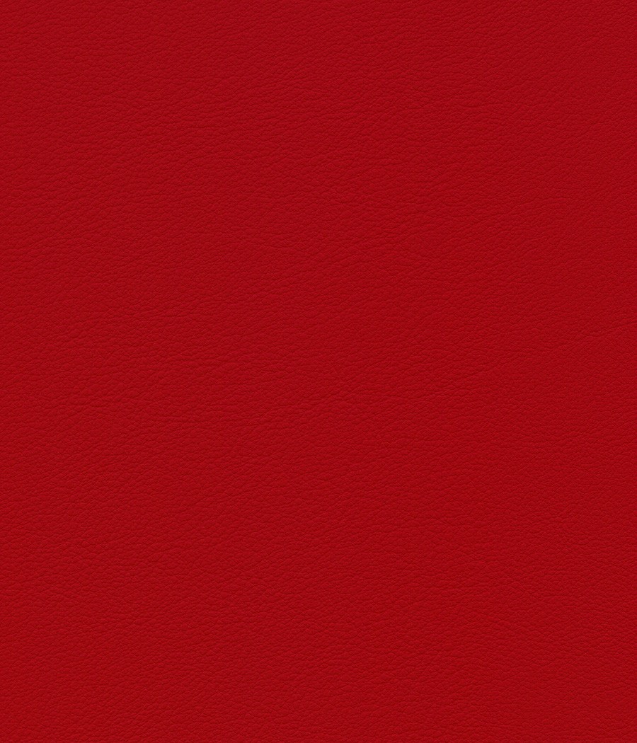 ESPRIT GRIFFINE SIMILI NON FEU M2 Laize 138-140 cm