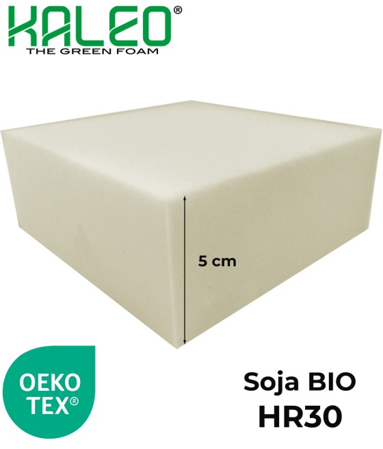 K30/5 MOUSSE HR KALEO K30 en 5cm 160 x 200 cm